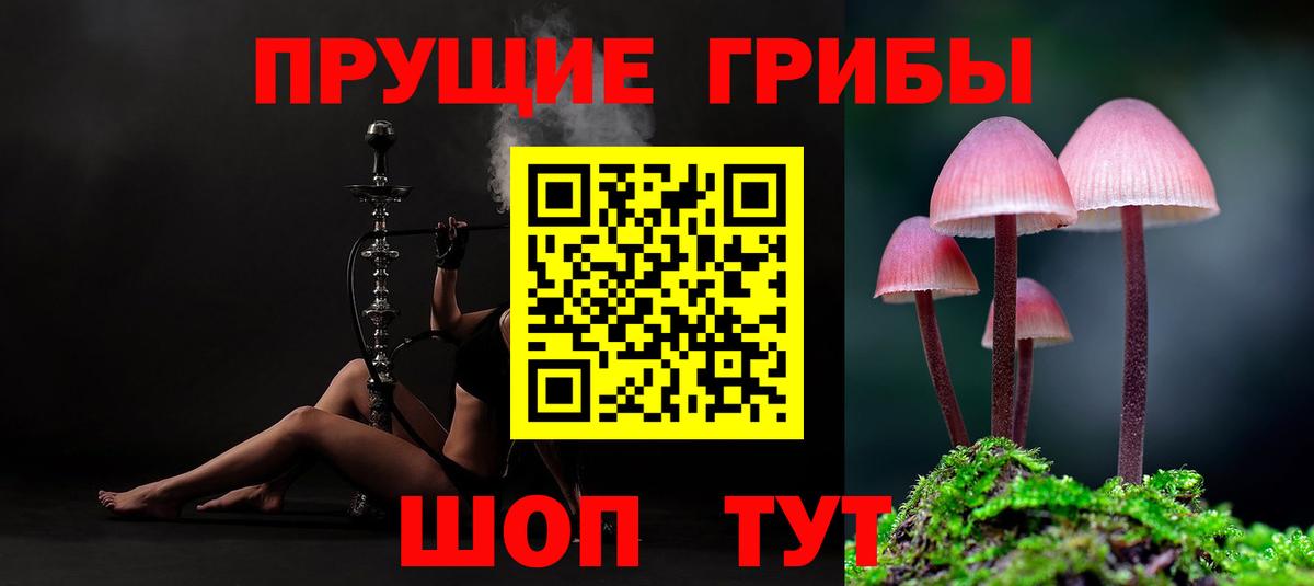Галлюциногенные грибы MAGIC MUSHROOMS Звенигород